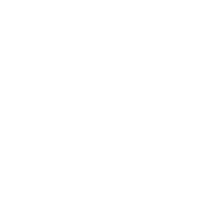 Logo the perfect ride